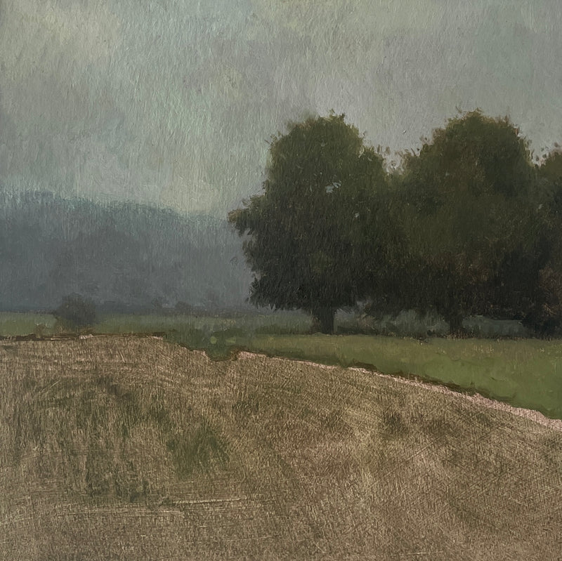Field Simplification