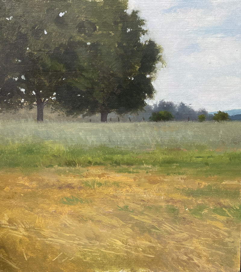 Ochre Grass