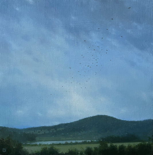 Where the Bluebirds Fly